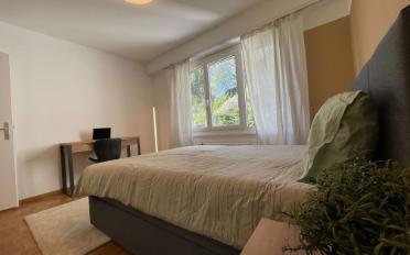 Chambre 1 pièce - image - 9