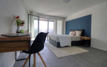 Chambre 1 pièce - image - 6