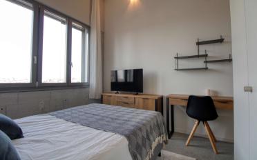Studio - image - 12