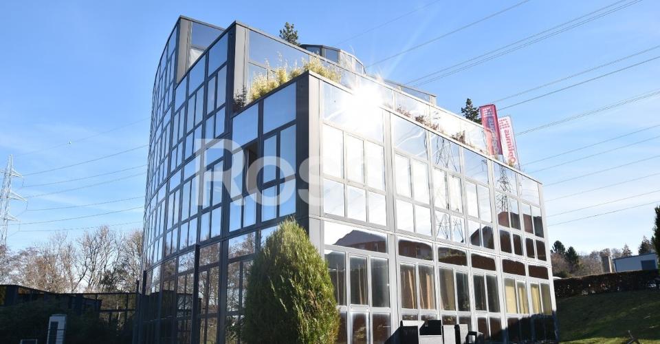 Le Mont-sur-Lausanne