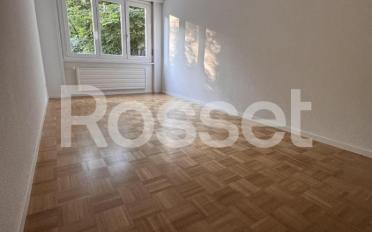 Wohnung 4.5 Zimmer - image - 6