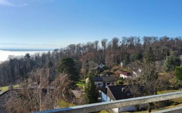 Wohnung 3 Zimmer - image - 6