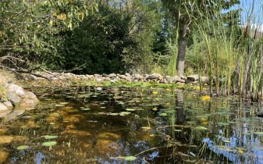 Single house 7 rooms - image - 14