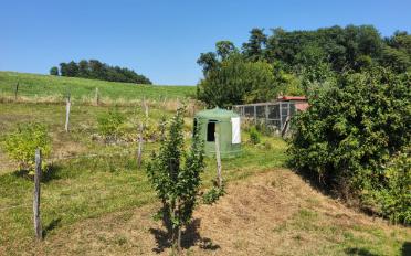 Single house 7 rooms - image - 18