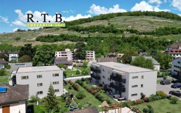 Wohnung 2.5 Zimmer - image - 1