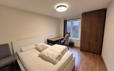 Appartement 3.5 pièces - image - 8