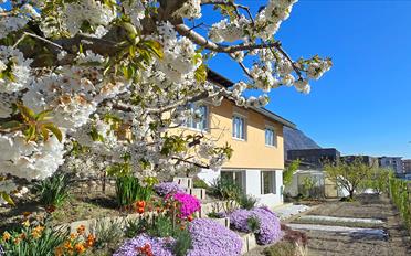 Einfamilienhaus 7 Zimmer - image - 1