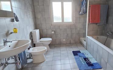 Single house 7 rooms - image - 5
