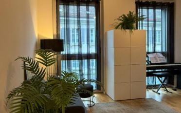 Wohnung 3.5 Zimmer - image - 3