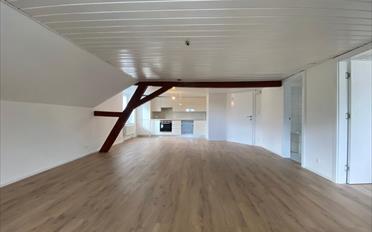 Wohnung 2.5 Zimmer - image - 1