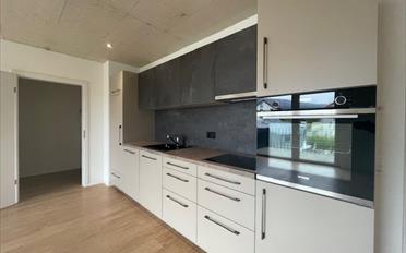 Wohnung 2.5 Zimmer - image - 1