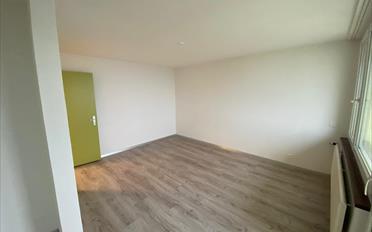Wohnung 2.5 Zimmer - image - 3
