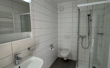 Apartment 3.5 rooms - image - 12
