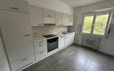 Appartement 3.5 pièces - image - 2