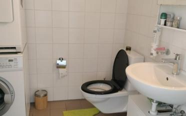 Duplex 4 Zimmer - image - 6