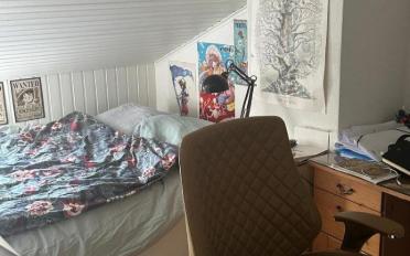 Duplex 3 Zimmer - image - 10