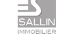 Sallin Immobilier SA