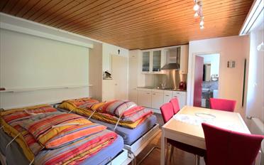 Apartment 1 room - image - 4