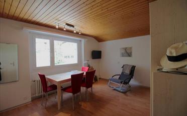 Apartment 1 room - image - 5