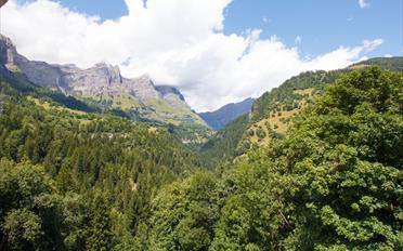 Chalet 2 Zimmer - image - 14