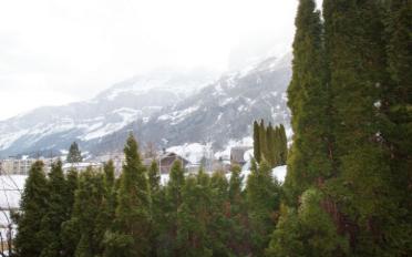 Furnished flat - image - 12