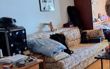Möbl. Wohnobj. 3.5 Zimmer - image - 5