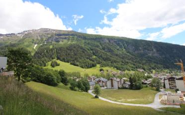 Chalet 8.5 rooms - image - 12