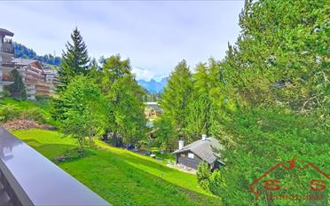 Wohnung 2.5 Zimmer - image - 1