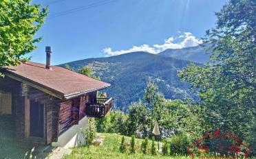 Chalet 4.5 Zimmer - image - 2