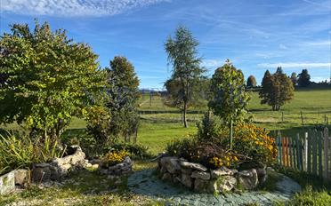 Single house 11 rooms - image - 2