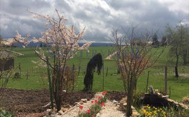 Single house 11 rooms - image - 9