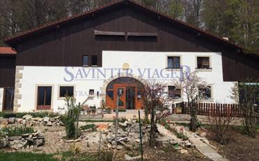 Single house 11 rooms - image - 10