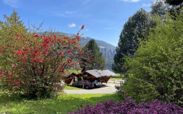 Appartement 5.5 pièces - image - 5