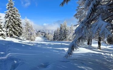 Appartement 3.5 pièces - image - 1