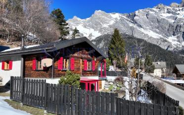 Chalet 6 Zimmer - image - 1