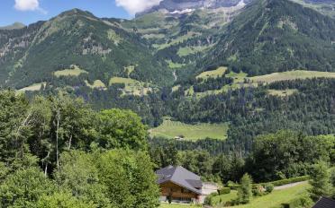 Chalet 8.5 pièces - image - 4