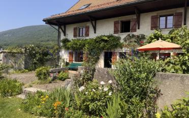 Single house 8 rooms - image - 5