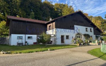 Einfamilienhaus 11 Zimmer - image - 1