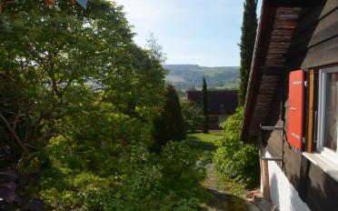 Terrassenwohnung 4 Zimmer - image - 13