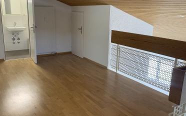Duplex 4.5 rooms - image - 6