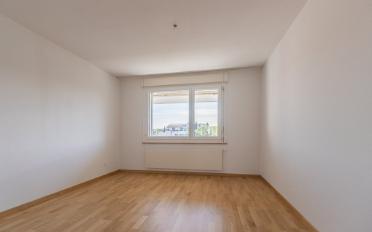 Wohnung 3.5 Zimmer - image - 4