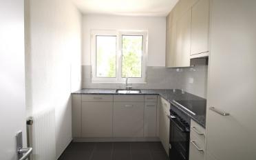 Apartment 3.5 rooms - image - 5