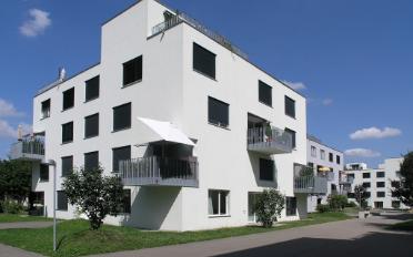 Wohnung 2.5 Zimmer - image - 1