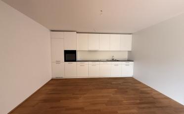 Apartment 3.5 rooms - image - 2