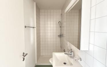 Apartment 3.5 rooms - image - 8