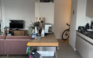 Appartement 3.5 pièces - image - 3
