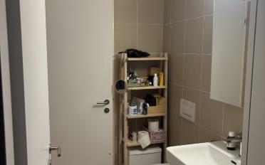 Appartement 3.5 pièces - image - 10