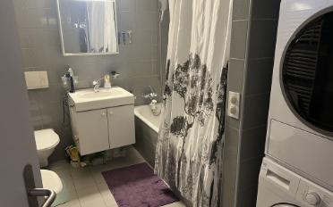Apartment 1.5 rooms - image - 6