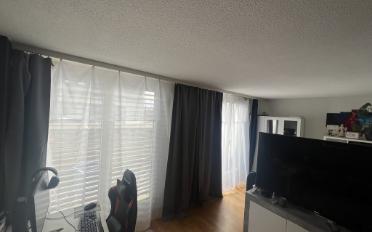 Apartment 1.5 rooms - image - 5