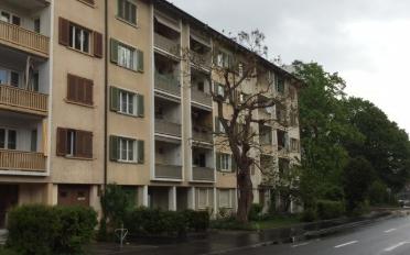 Wohnung 3 Zimmer - image - 1
